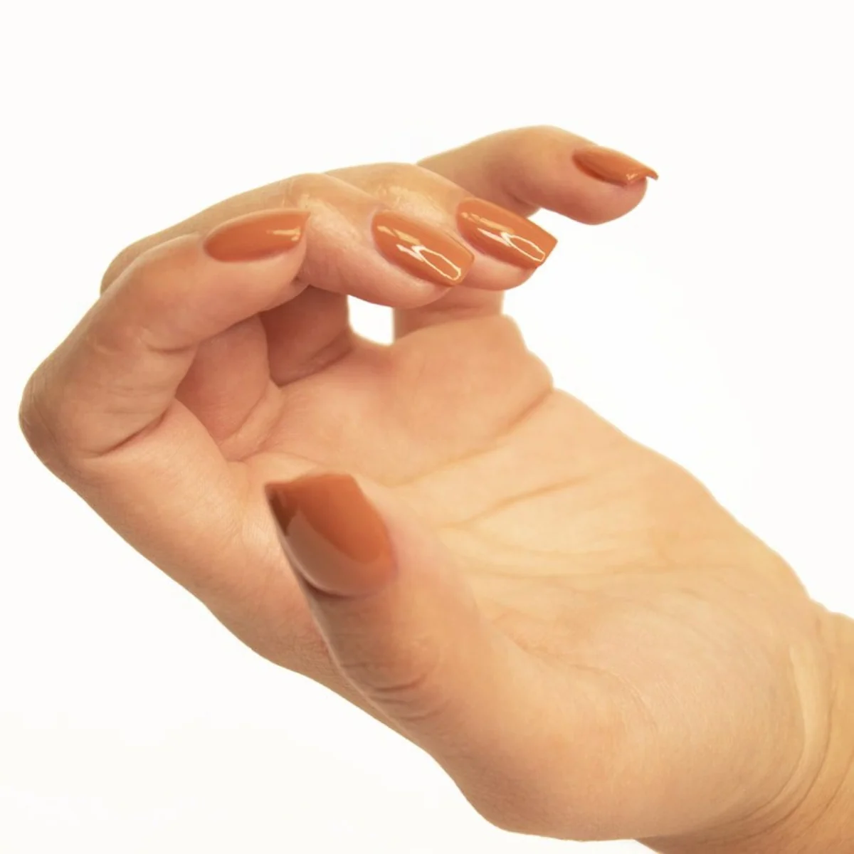 Miniatura 81